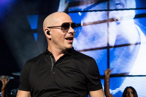 Pitbull